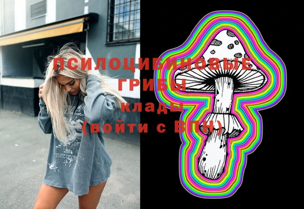 прущие крисы Абинск