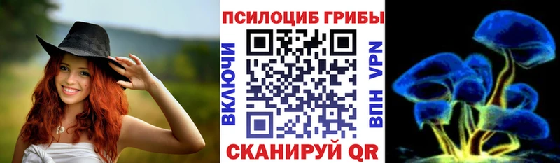Галлюциногенные грибы Psilocybe  Истра 